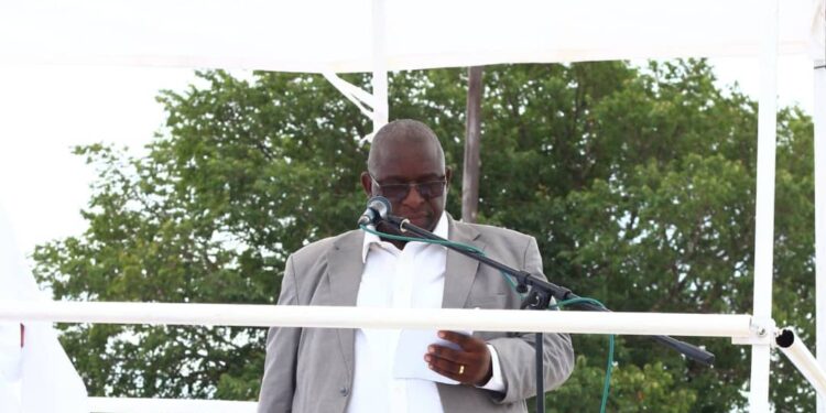 Traffic Safety Council of Zimbabwe