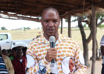 Honourable Felix T. Mhona