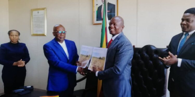 Minister of local government