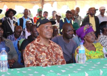 Hon Min Felix Tapiwa Mhona