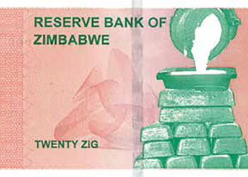 Sadza businesses demand 20Zig for a dollar