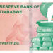 Sadza businesses demand 20Zig for a dollar
