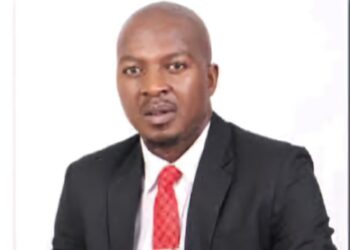 Dr Manyaya appointed Zimbabwe Tourism Authority CEO