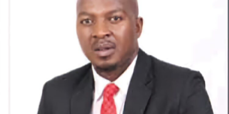Dr Manyaya appointed Zimbabwe Tourism Authority CEO