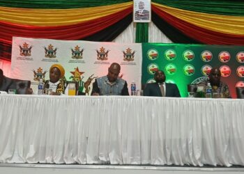 Government pushes for swift enactment of Road Accident Fund Bill