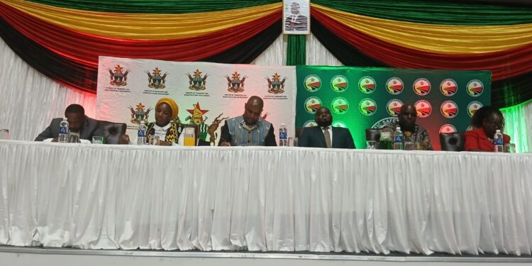 Government pushes for swift enactment of Road Accident Fund Bill