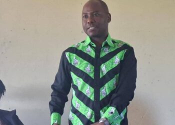 Lead by example on Pfumvudza, Hon Ndudzo