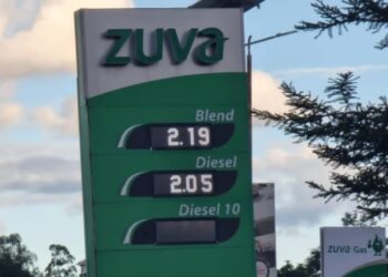 Government considers increasing ethanol blending to cut fuel prices