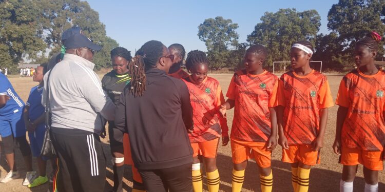 Hon Mhona sends victorious Chikomba East home smiling