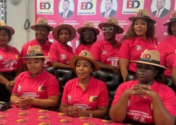 Young Women for Economic Development marks major milestone