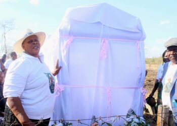 Senate President Mabel Chinomona honors parents with tombstone unveiling in Mutoko