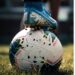 Weekend Sports Reviews